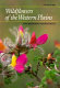 Wildflowers of the western plains : a field guide /
