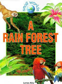 A rain forest tree /