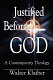 Justified before God : a contemporary theology /