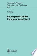 Development of the cetacean nasal skull /