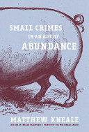 Small crimes in an age of abundance /