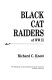 Black Cat Raiders of WW II /