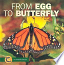 From egg to butterfly /