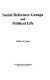 Social reference groups and political life /