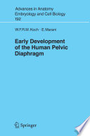 Early development of the human pelvic diaphragm /