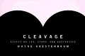 Cleavage : essays on sex, stars, and aesthetics /