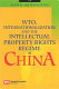 WTO, internationalization and the intellectual property rights regime in China /