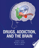 Drugs, addiction, and the brain /