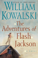 The adventures of Flash Jackson : a novel /