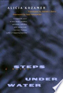 Steps under water : a novel /