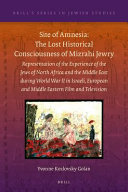 Site of amnesia: the lost historical consciousness of Mizrahi Jewry : representation of the experience of the Jews of North Africa and the Middle East during World War II in Israeli, European and Middle Eastern film and television /