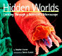 Hidden worlds : looking through a scientist's microscope /