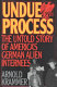 Undue process : the untold story of America's German alien internees /