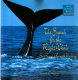 The search for the right whale /