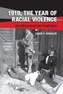 1919, the year of racial violence : how African Americans fought back /