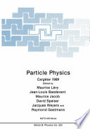 Particle Physics : Cargèse 1989 /