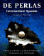 De perlas : intermediate Spanish /