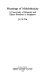 Meanings of multiethnicity : a case study of ethnicity and ethnic relations in Singapore /