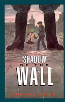 Shadow of the wall /