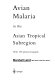 Avian malaria in the Asian tropical subregion /