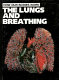 The lungs and breathing /
