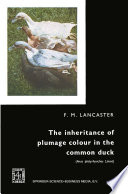 The inheritance of plumage colour in the common duck (Anas platyrhynchos linné) /