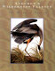 Audubon's wilderness palette : the birds of Canada /