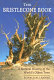 The bristlecone book : a natural history of the world's oldest trees /