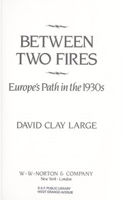 Between two fires : Europe's path in the 1930s /