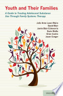 Youth and their families : a guide to treating adolescent substance use through family systems therapy /