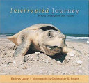 Interrupted journey : saving endangered sea turtles /