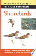 Shorebirds /