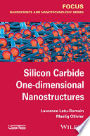 Silicon Carbide One-dimensional Nanostructures /