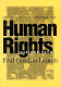 The evolution of international human rights : visions seen /