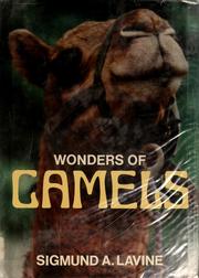 Wonders of camels /