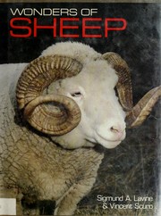 Wonders of sheep /