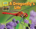 A dragonfly's life /