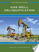 Gas well deliquification /