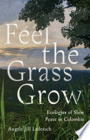Feel the grass grow : ecologies of slow peace in Colombia /