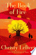 The book of fire : a novel /