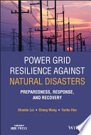 Power grid resilience against natural disasters : preparedness, response, and recovery /