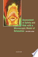 Assessment of safety and risk with a microscopic model of detonation /
