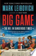 Big game : the NFL in dangerous times /