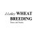 Wheat breeding : theory and practice /