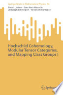 Hochschild Cohomology, Modular Tensor Categories, and Mapping Class Groups I /