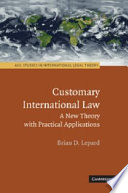 Customary international law : a new theory with practical applications /