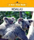 Koalas /