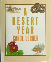 A desert year /