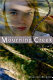 The stones of Mourning Creek / Diane Les Becquets.