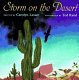Storm on the desert /